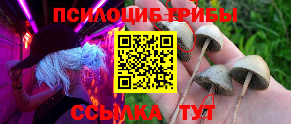 Галлюциногенные грибы прущие грибы Кстово